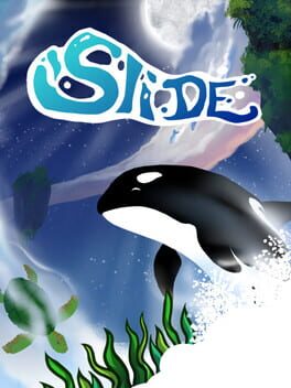 Slide - Animal Race